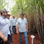 Governador de SP visita Divisão de Cana do IAC durante a Agrishow 2026 
