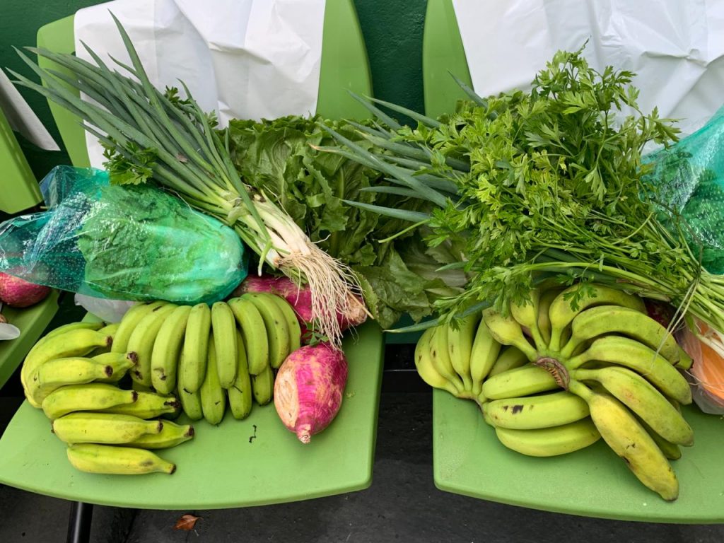 Ilhabela fortalece PAA e leva segurança alimentar a comunidades isoladas em mar aberto