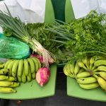 Ilhabela fortalece PAA e leva segurança alimentar a comunidades isoladas em mar aberto