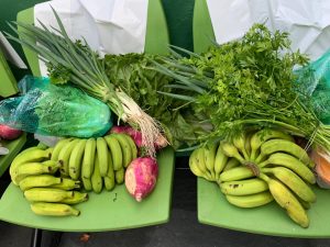 Ilhabela fortalece PAA e leva segurança alimentar a comunidades isoladas em mar aberto