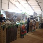 Agrishow 2026: Pavilhão das Rotas de São Paulo exalta diversidade e inovação da agricultura familiar paulista