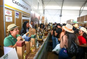 Pavilhão das Rotas de São Paulo soma R$3,5 milhões em vendas na Agrishow 2026