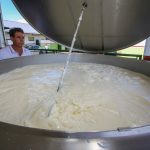 Governo de SP ultrapassa R$ 128 milhões em compras da agricultura familiar e fortalece produção no campo