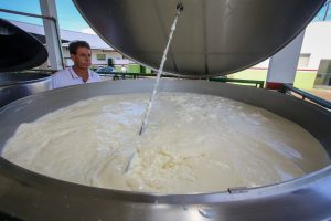 Governo de SP ultrapassa R$ 128 milhões em compras da agricultura familiar e fortalece produção no campo