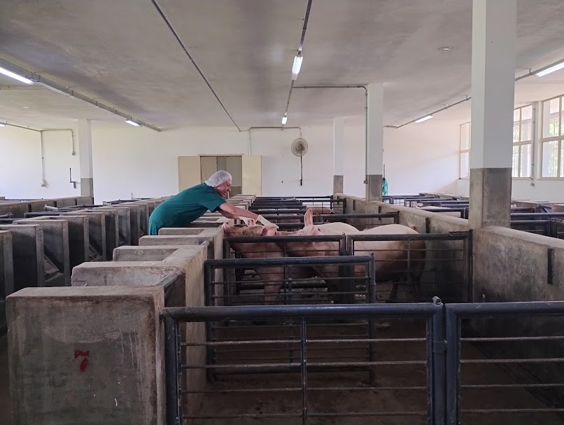 Instituto de Zootecnia destaca protagonismo paulista nos 60 anos da zootecnia no Brasil 