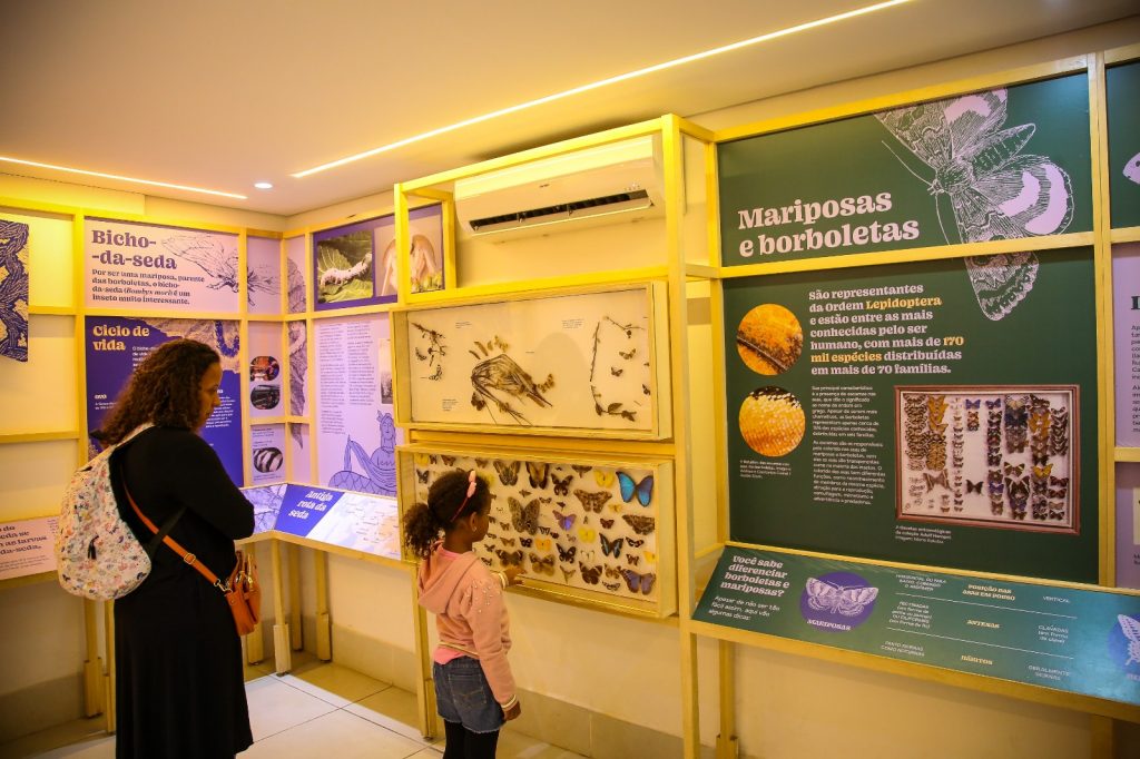 Planeta Inseto: o Museu do Instituto Biológico transforma ciência em experiência educativa