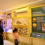 Planeta Inseto: o Museu do Instituto Biológico transforma ciência em experiência educativa
