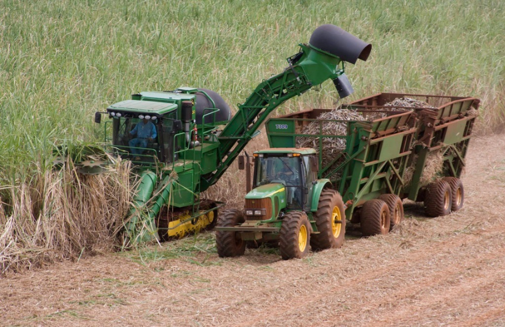 Superávit do agro paulista registra US$6,45 bilhões de janeiro a abril de 2026