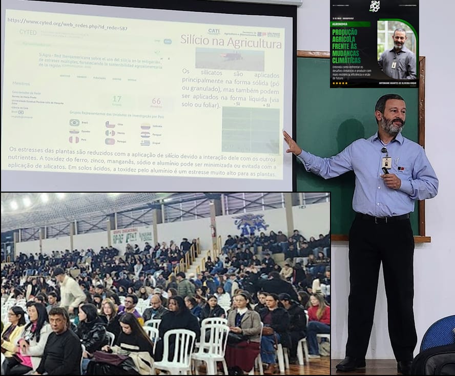 CATI participa de programa que fortalece cooperação ibero-americana sobre uso do silício na agricultura