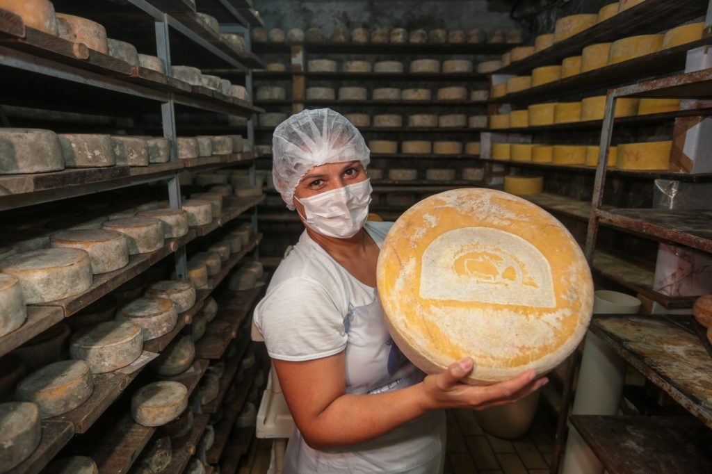 Produção artesanal de queijo avança em São Paulo e conquista reconhecimento estadual 