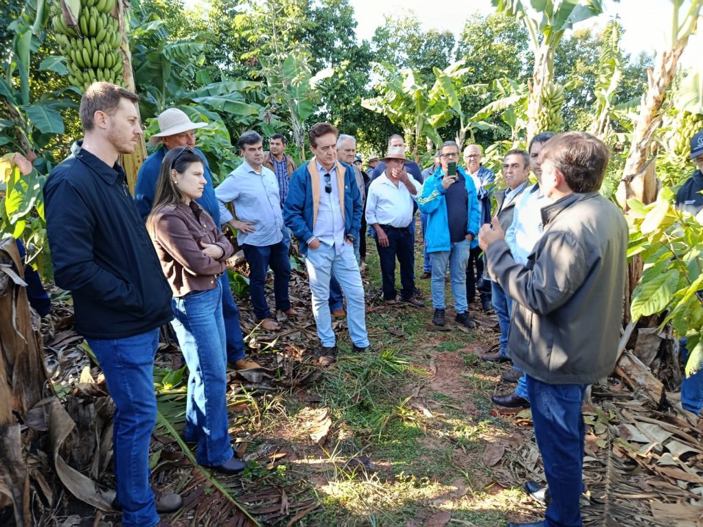 CATI organiza Dia de Campo sobre cacau e ILPF e inspira produtores a iniciar o cultivo de cacau em sistema de produção integrada