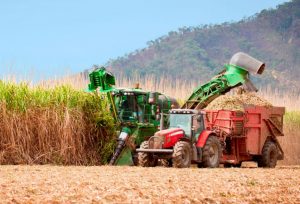 Agro paulista amplia exportações em 5%, mesmo diante dos desafios globais