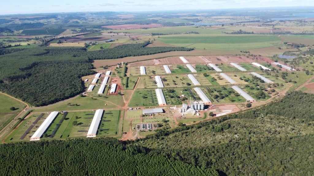 Regularização ambiental avança no campo paulista e impulsiona produção sustentável