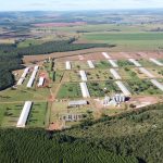 Regularização ambiental avança no campo paulista e impulsiona produção sustentável