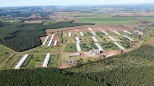 Regularização ambiental avança no campo paulista e impulsiona produção sustentável