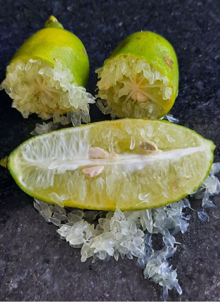 O limão que guarda o suco em pequenas pérolas e pode valer até R$ 1,2 mil o quilo