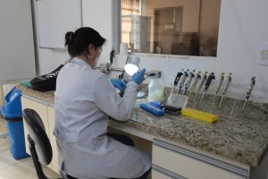 Pioneiro na área, Instituto de Zootecnia certifica a maior parte do leite A2 consumido no país