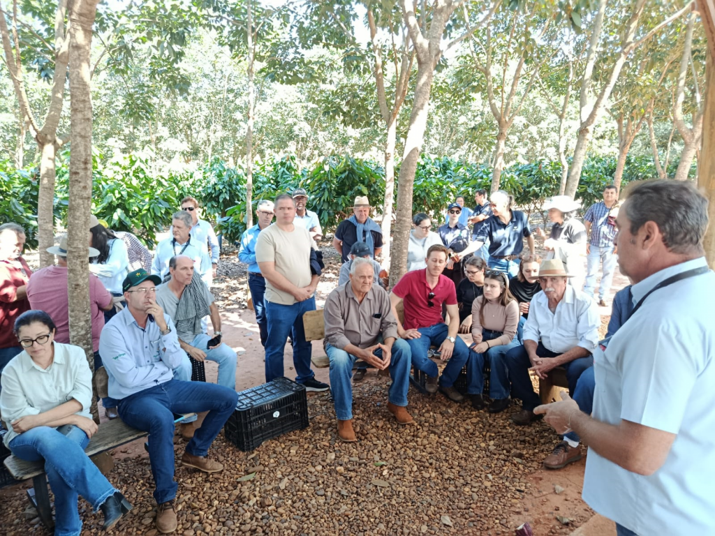 CATI organiza Dia de Campo sobre cacau e ILPF e inspira produtores a iniciar o cultivo de cacau em sistema de produção integrada