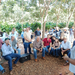 CATI organiza Dia de Campo sobre cacau e ILPF e inspira produtores a iniciar o cultivo de cacau em sistema de produção integrada