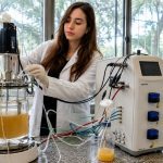 Instituto de Pesca expande a produção de vacina de DNA contra Francisella orientalis