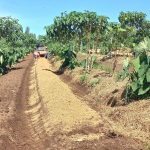 Protocolo de Transição Agroecológica completa 10 anos incentivando práticas sustentáveis no campo paulista