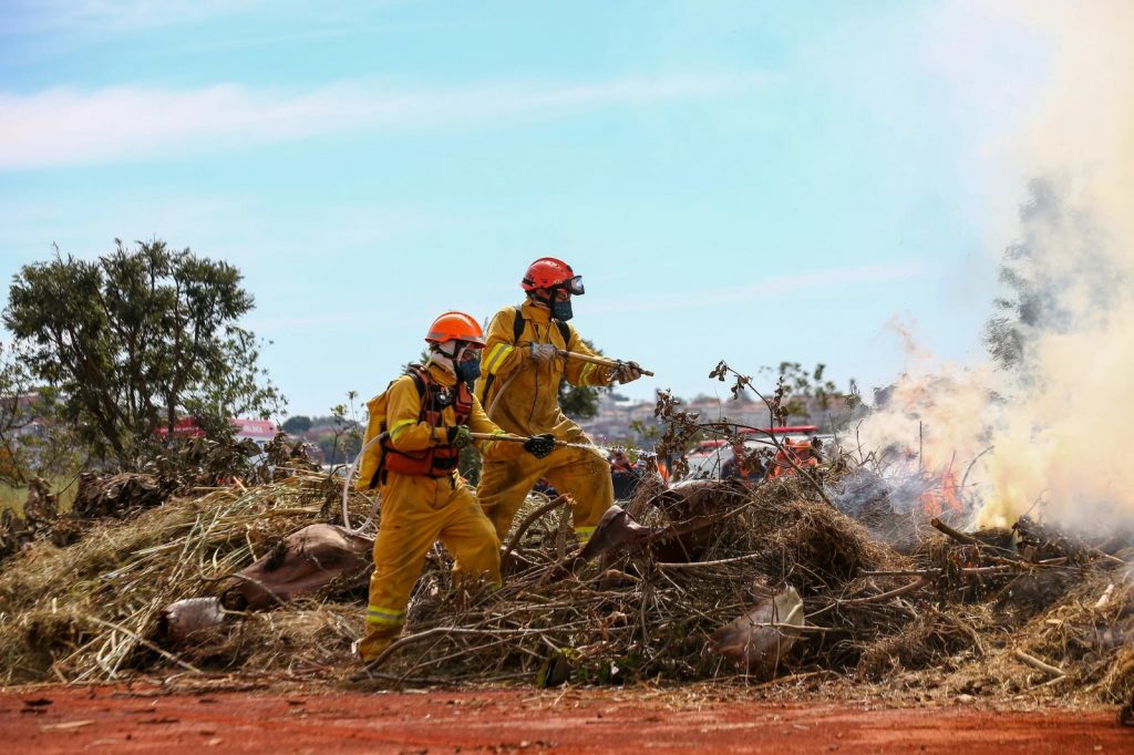 Onda de calor exige atenção redobrada dos produtores rurais