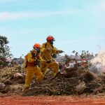 Onda de calor exige atenção redobrada dos produtores rurais