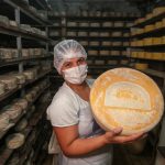 Dia Estadual do Queijo Artesanal e Autoral Paulista celebra certificação e produção que cresce em São Paulo