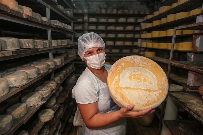 Dia Estadual do Queijo Artesanal e Autoral Paulista celebra certificação e produção que cresce em São Paulo