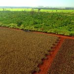 Aceiros: barreiras físicas contra a passagem do fogo em propriedades rurais